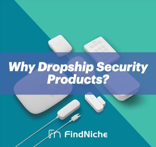 Why Dropship Security Products? 