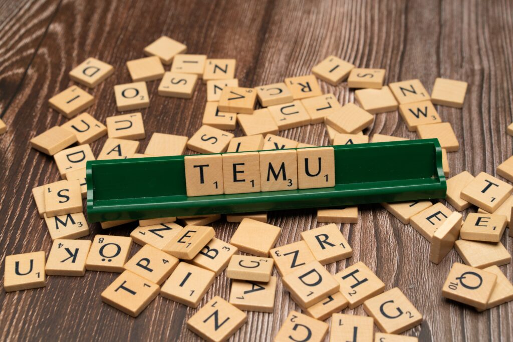 Exploring the Temu App: A Comprehensive Review of Its Features