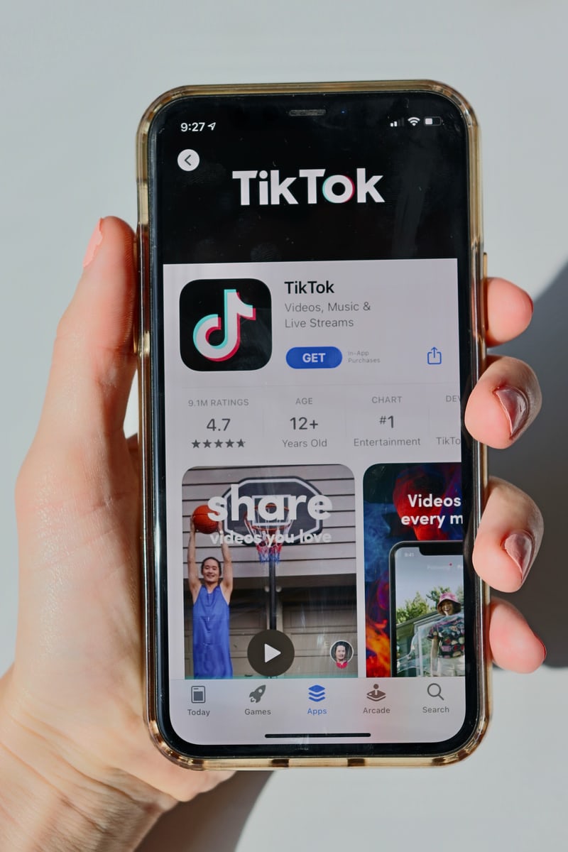 TikTok Ads Audience tool 
