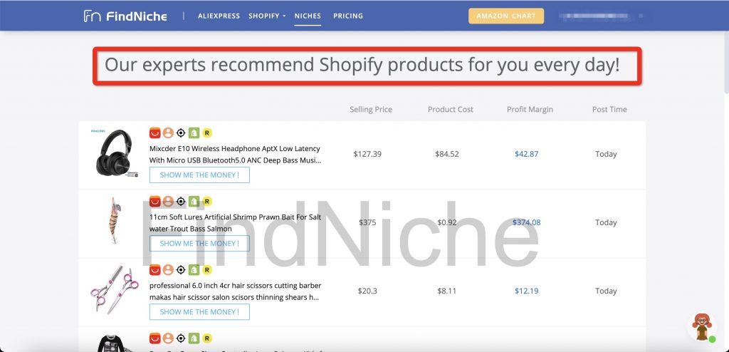 Dropshipping Niche Finder: 5 ways to Find Potential Niches-FindNiche