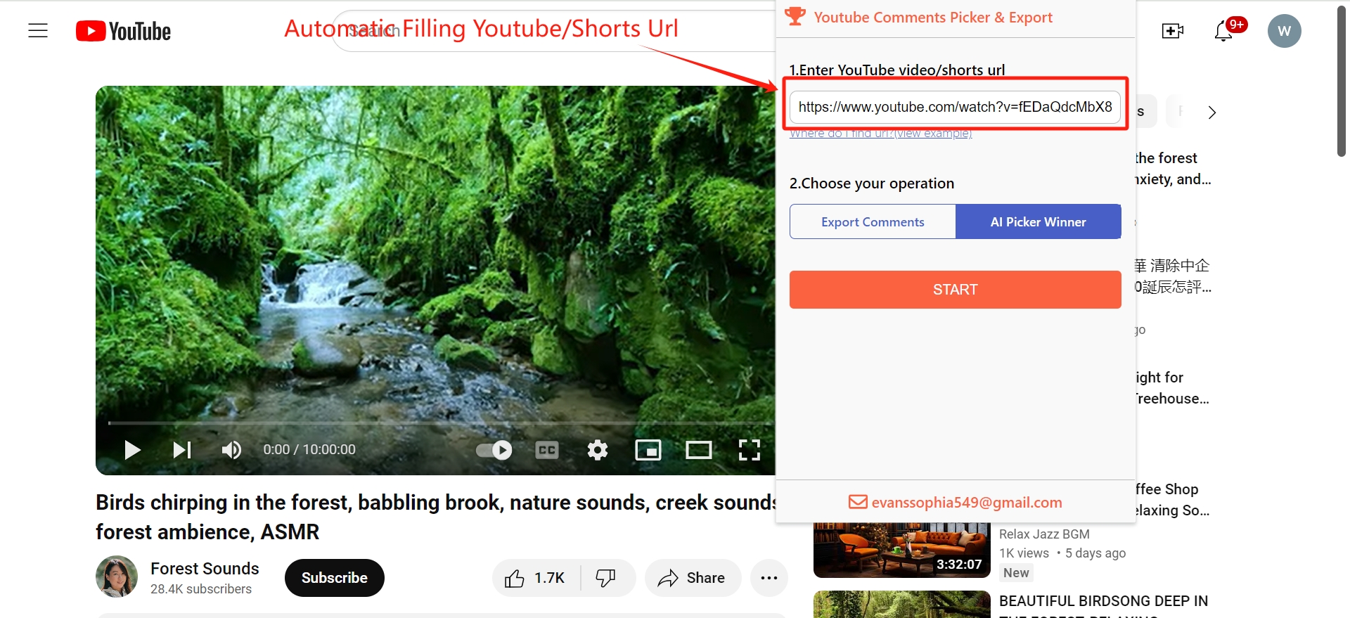 Html редактор. Html css animation. Css редактор. Fill url. Datagrip внешние ключи макет.