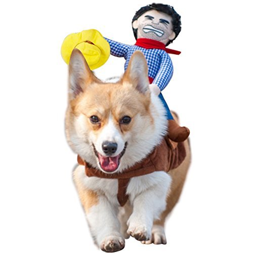 Cowboy Rider Style Dog Costume - AmzChart