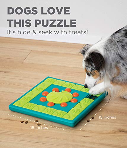 Interactive Puzzle Game Dog Toys - AmzChart
