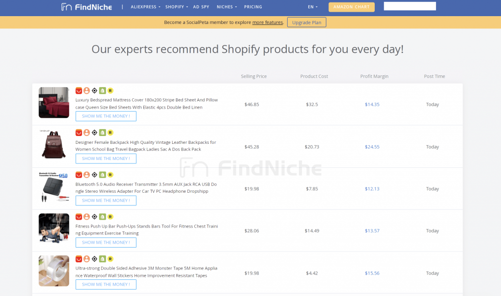 FindNiche provides a chart that features potential Shopify products for sellers to get product ideas for Walmart dropshipping.