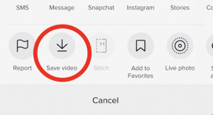 "Save video"ya tıklayın.