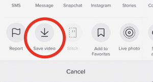 A Comprehensive Guide to Save TikTok Videos｜TikFast