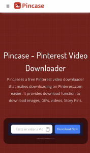 Enter https://pincase.xyz/ on your browser;