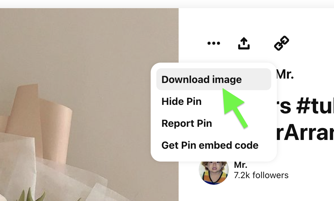 How to download Pins images?