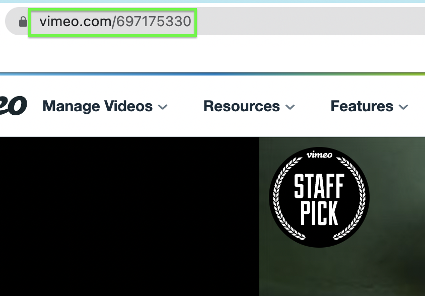 copy the link of the Vimeo video you want to save.