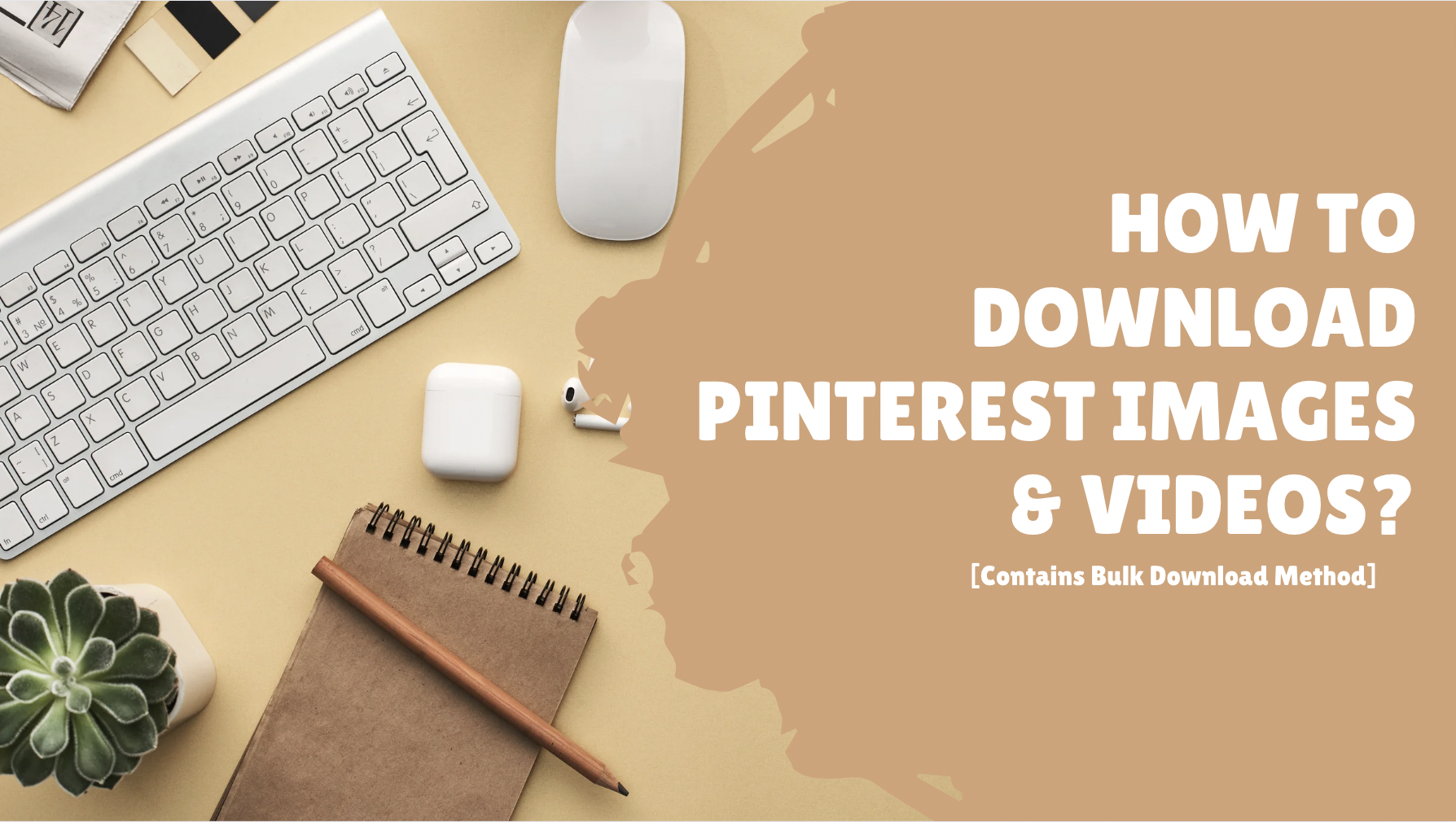 How to Download Pinterest Images & Videos?[Contains Bulk Download Method]