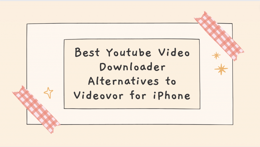 Best Youtube Video Downloader Alternatives to Videovor for iPhone