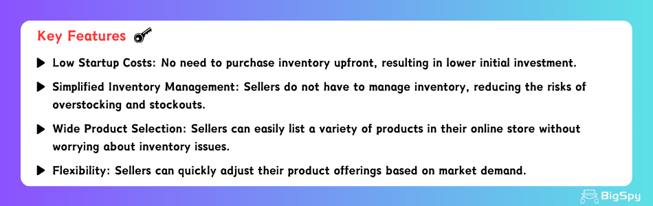 key features of dropshipping