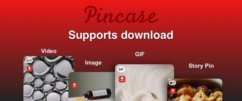 Pinterest video downloader—Pincase