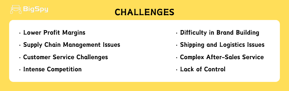 Challenges of Dropshipping