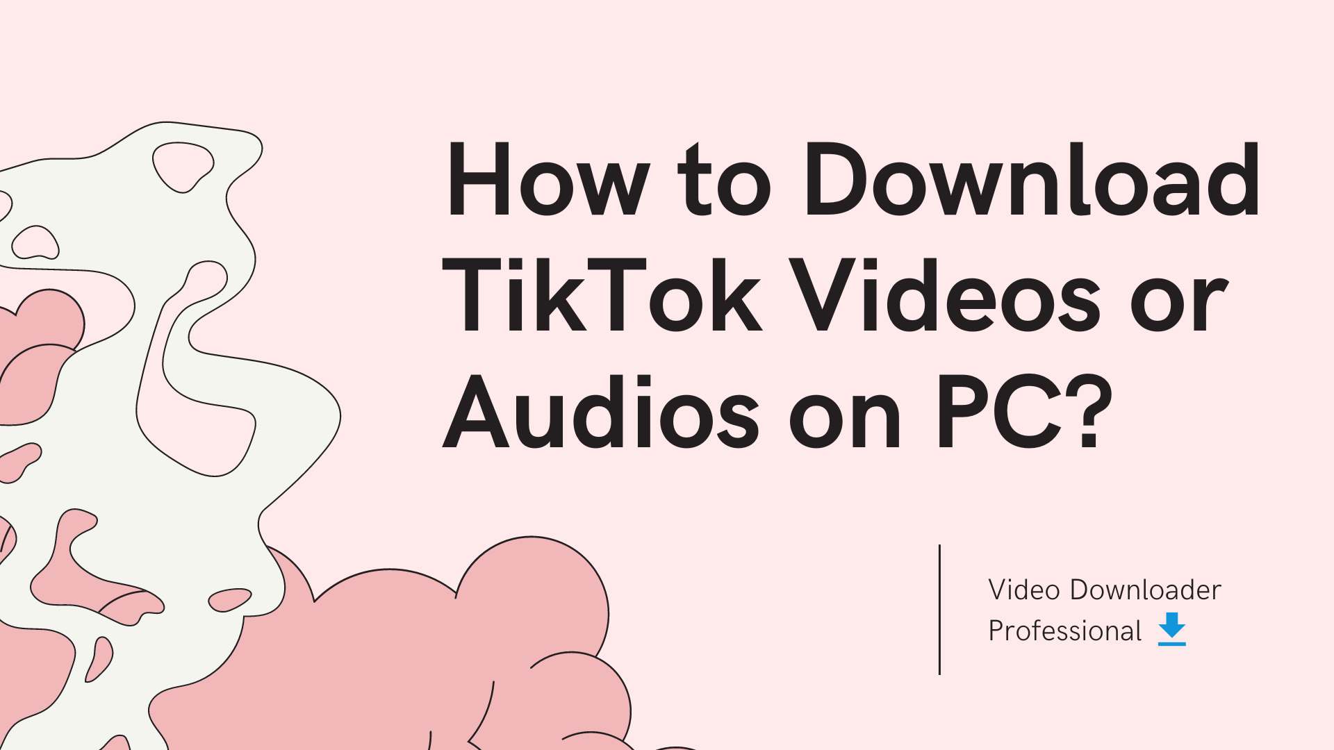 How to Download TikTok Videos or Audios on PC?