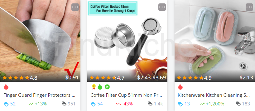 FindNiche | The #1 Niche Finder