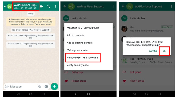 Remove WhatsApp group members