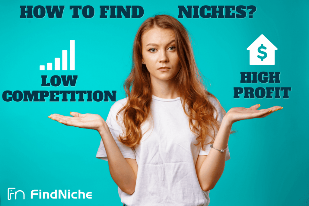 How to Find Low Competition Niches with High Profit in 2022?