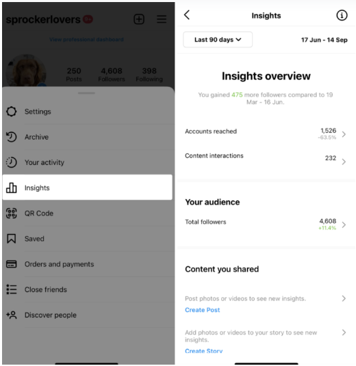 Analyse Insights on Instagram