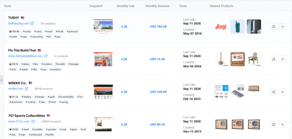 shopify store research