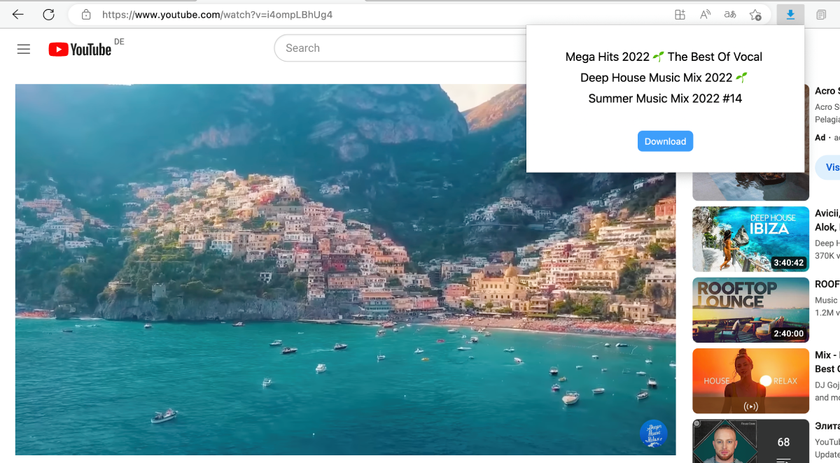 Video Downloader Professional Free Video Downloader Extension