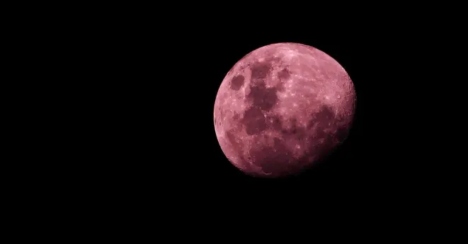 the Pink Moon